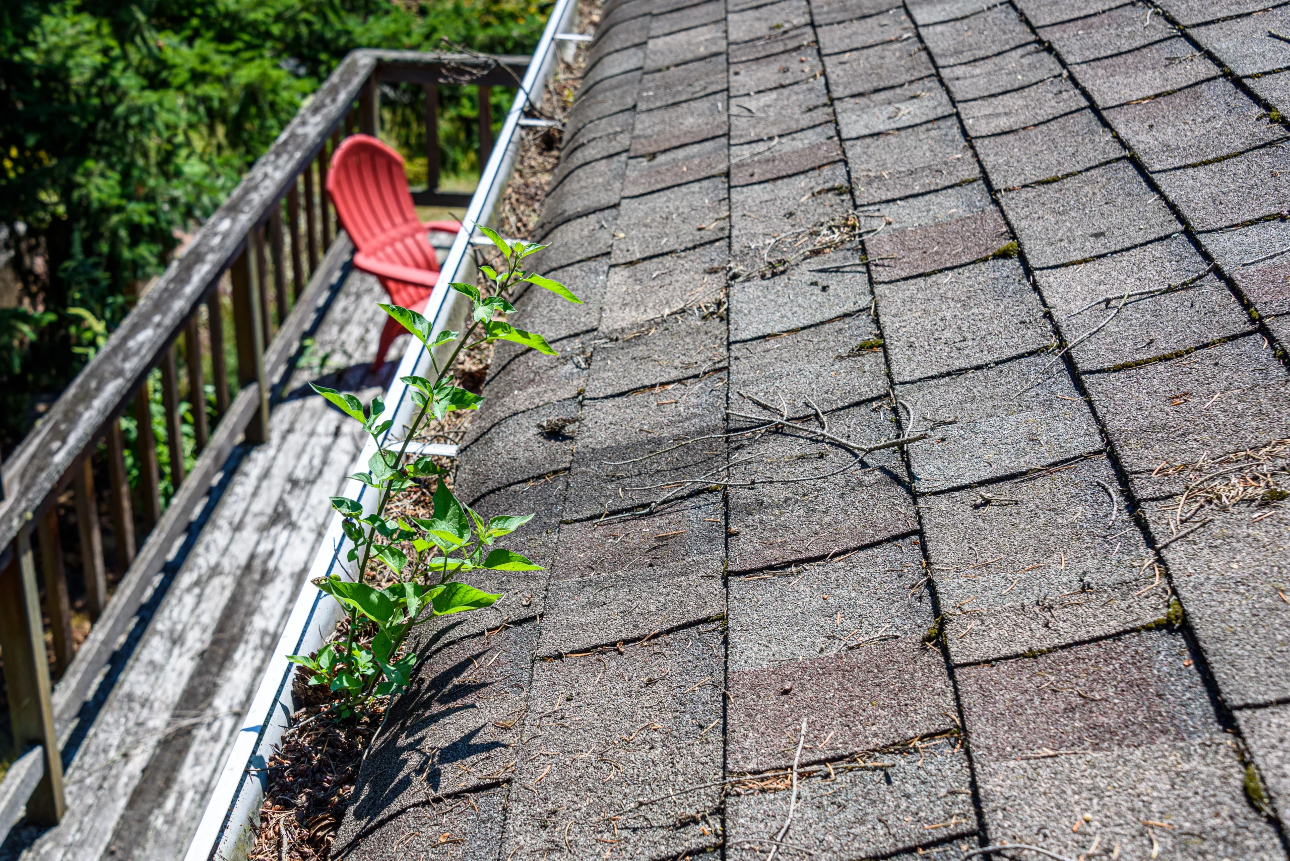 Gutter Cleaning