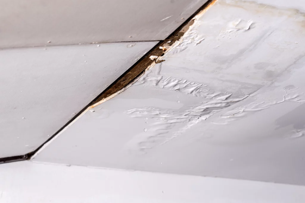 Leaking ceiling from roof