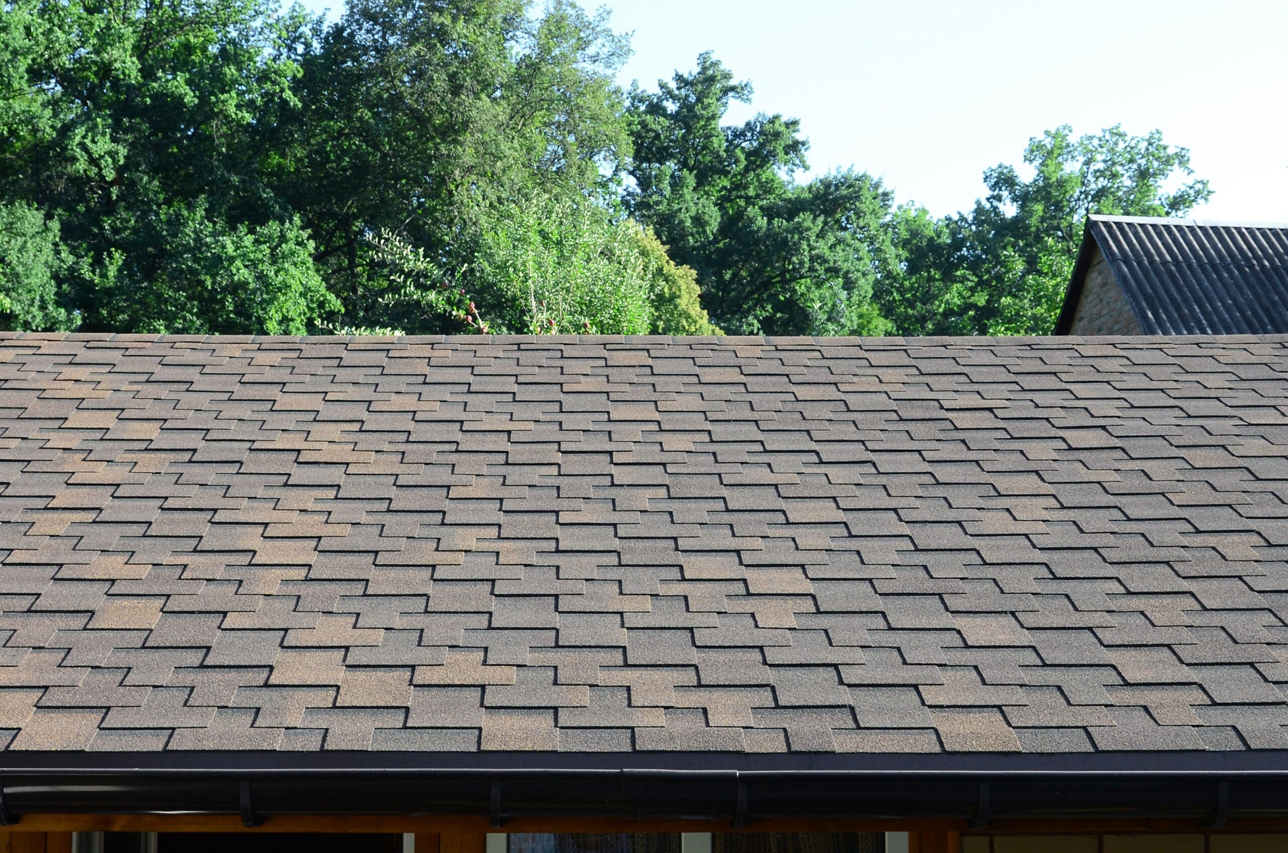 asphalt shingle roof