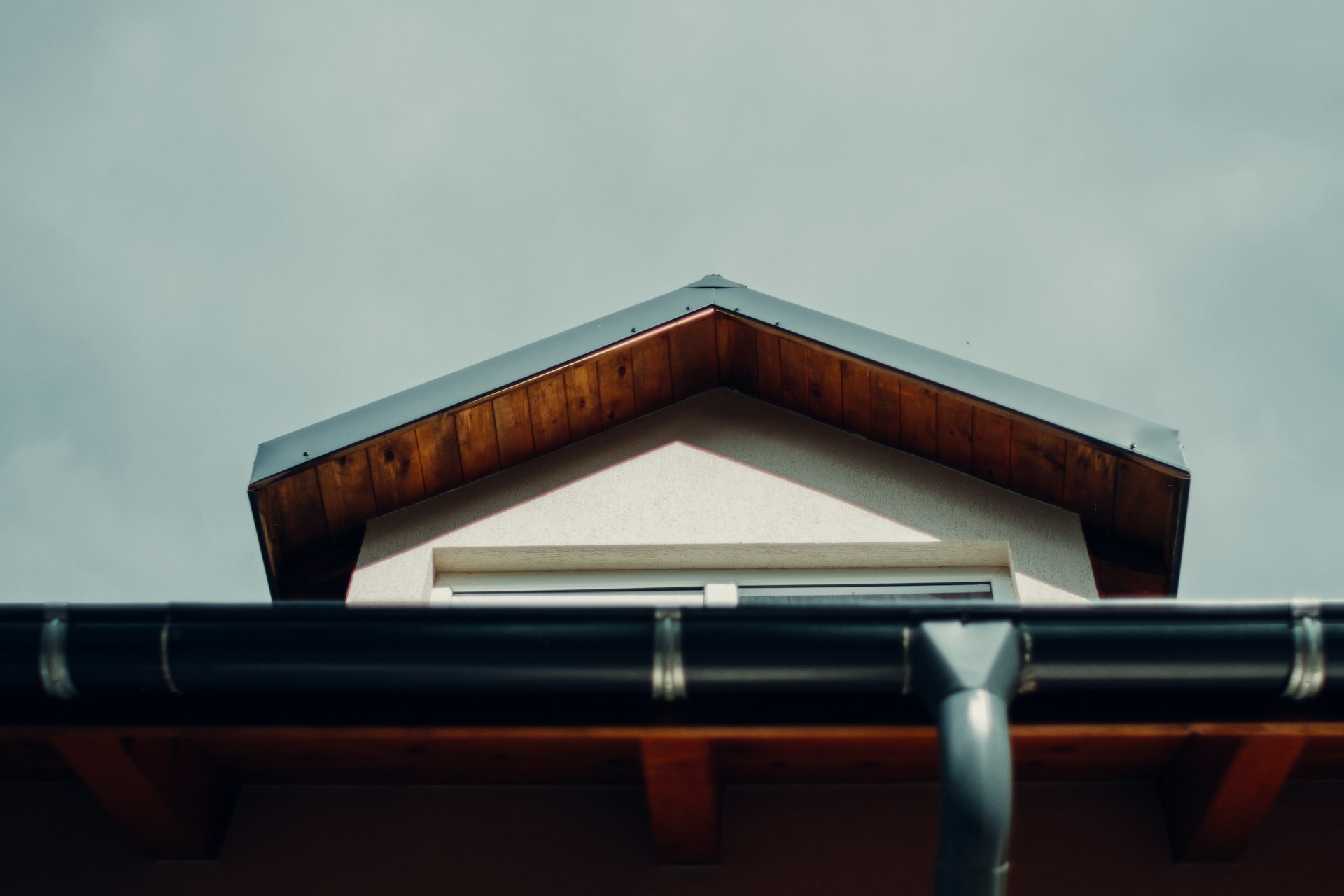 Gutter Clogs