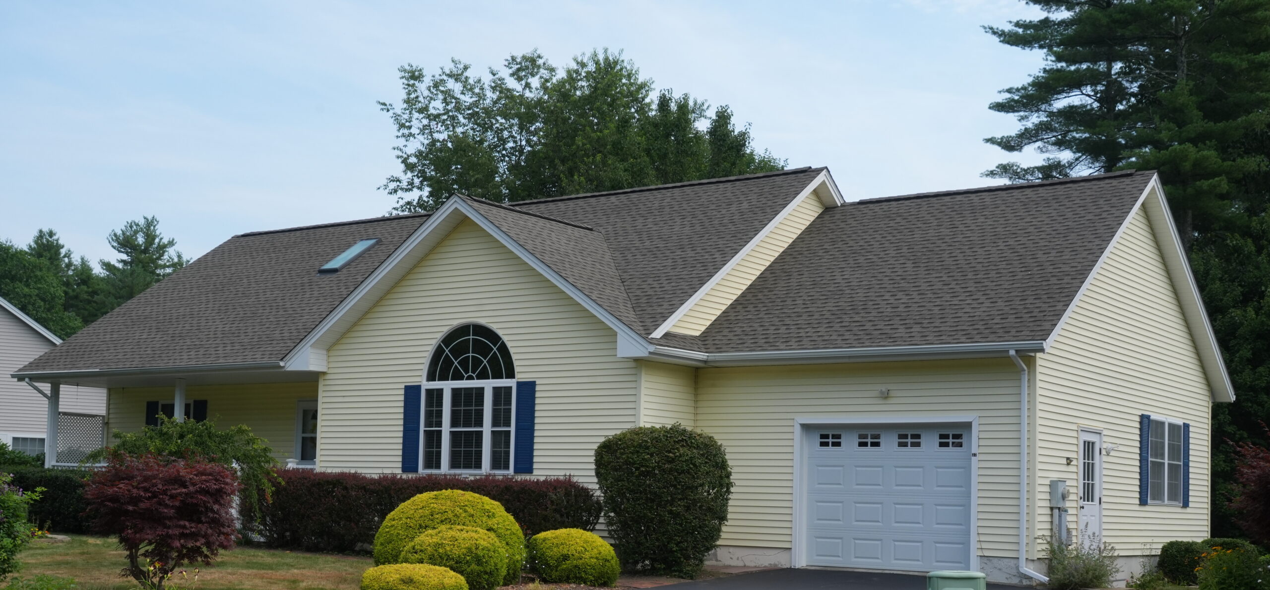 roof and gutters